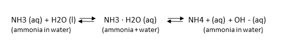 Chemical equation for the equillibrium of ammonia, water, and ammonium.