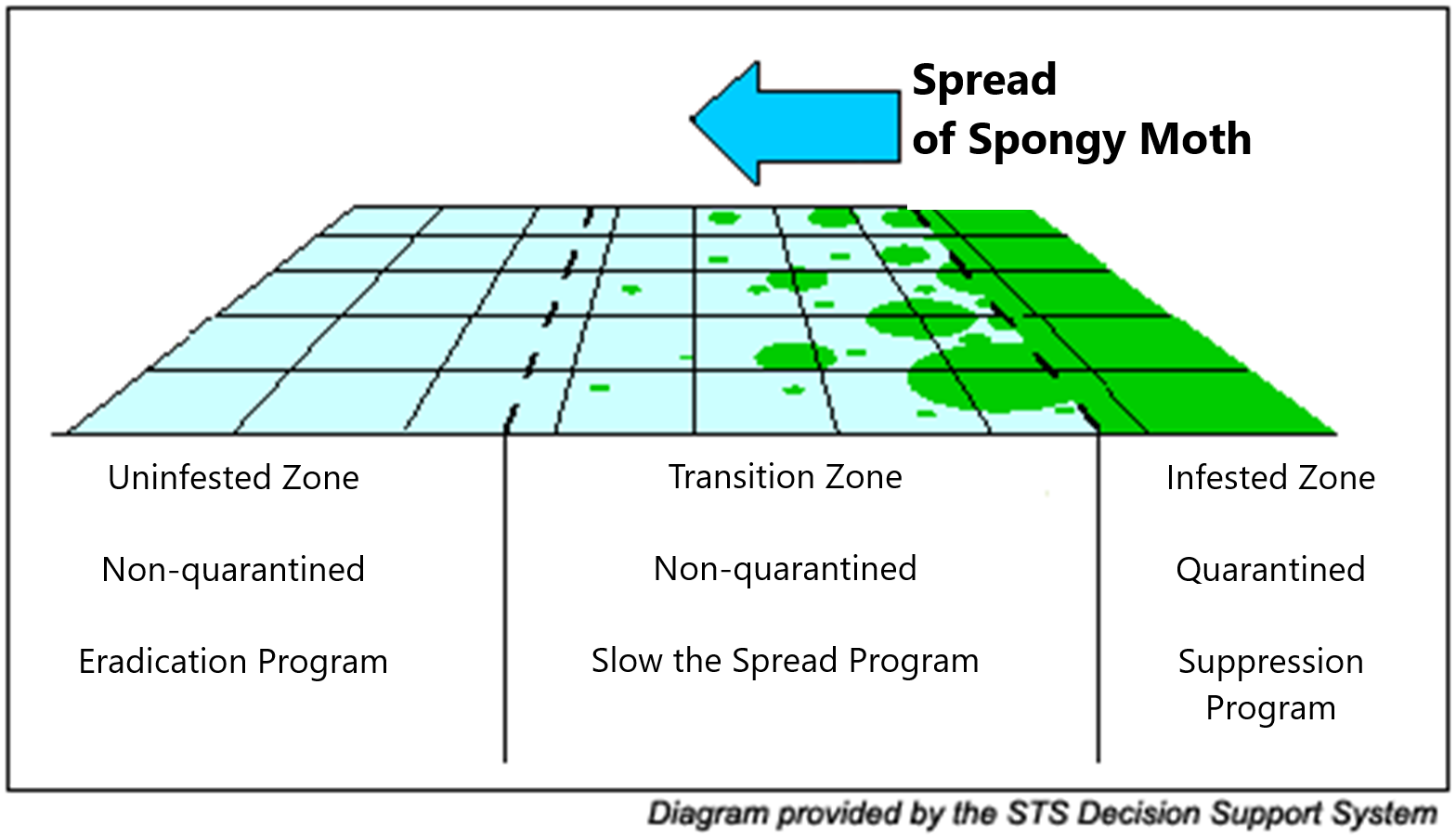 Diagram depicting the infested zone, transition zone, and uninfested zone of spongy moth spread