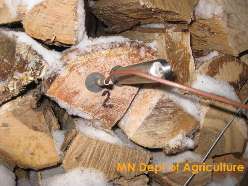 Firewood with temperature probe inserted