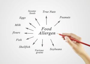 diagram of the major food allergens