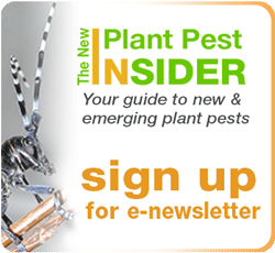 Sign up for the new plant pest insider e-newsletter your monthly guide to new and emerging plant pests