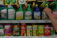 Pesticides lined up on a retail store shelf