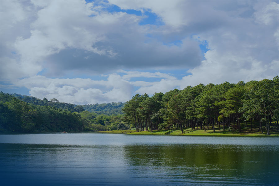 lake with trees and blue sky in background