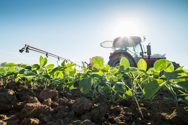 Dicamba