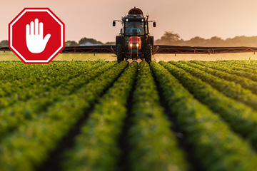 Farmer in a tractor applying pesticides to a growing crop