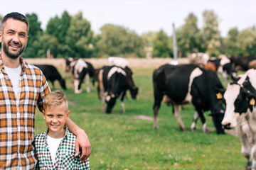 A man and boy standing in front of dairy cows
