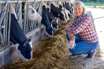 A woman by some cows