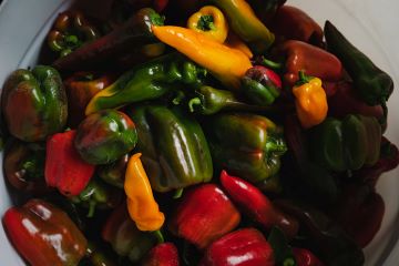 Container of orage, red, and green peppers.