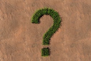 green plant material shaped in question mark