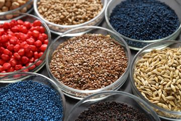 containers of different types of seeds