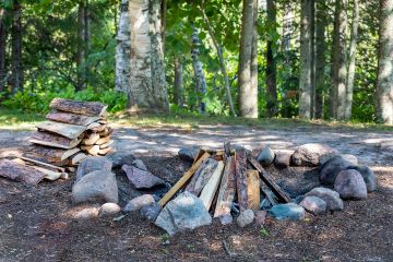 firewood set up for campfire