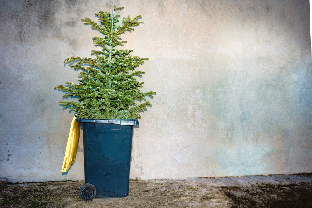 holiday tree in garbage can