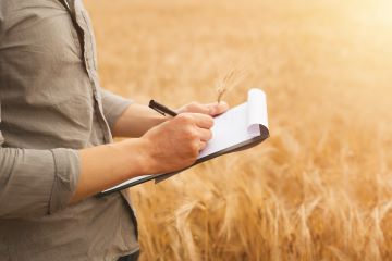 person writing on clipboard in wheat field 