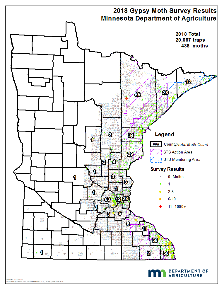 2018 gypsy moth trapping survey results map