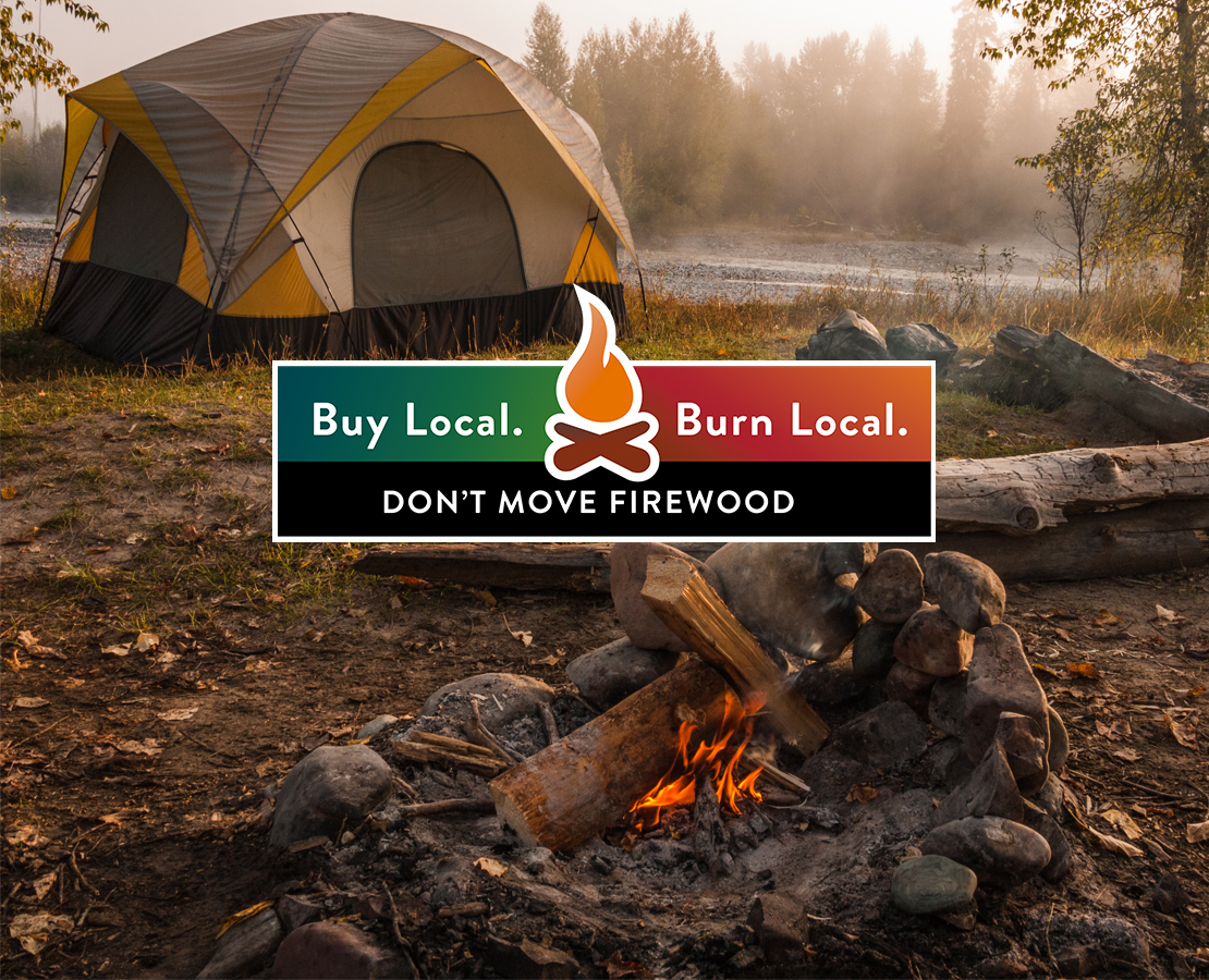 Buy and burn local firewood when visiting campgrounds.