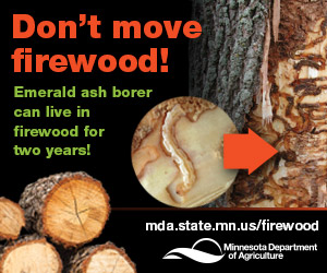 Don't move firewood graphic