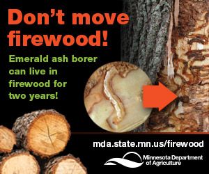 Don't move firewood message stating EAB can live in firewood for two years.
