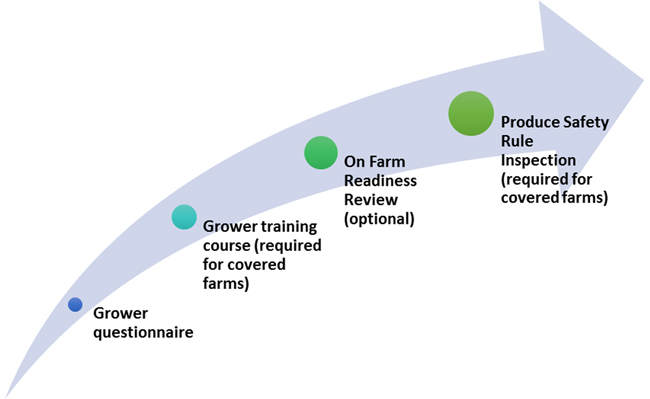 chart showing steps for produce growers