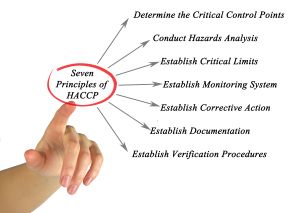 HACCP principles 