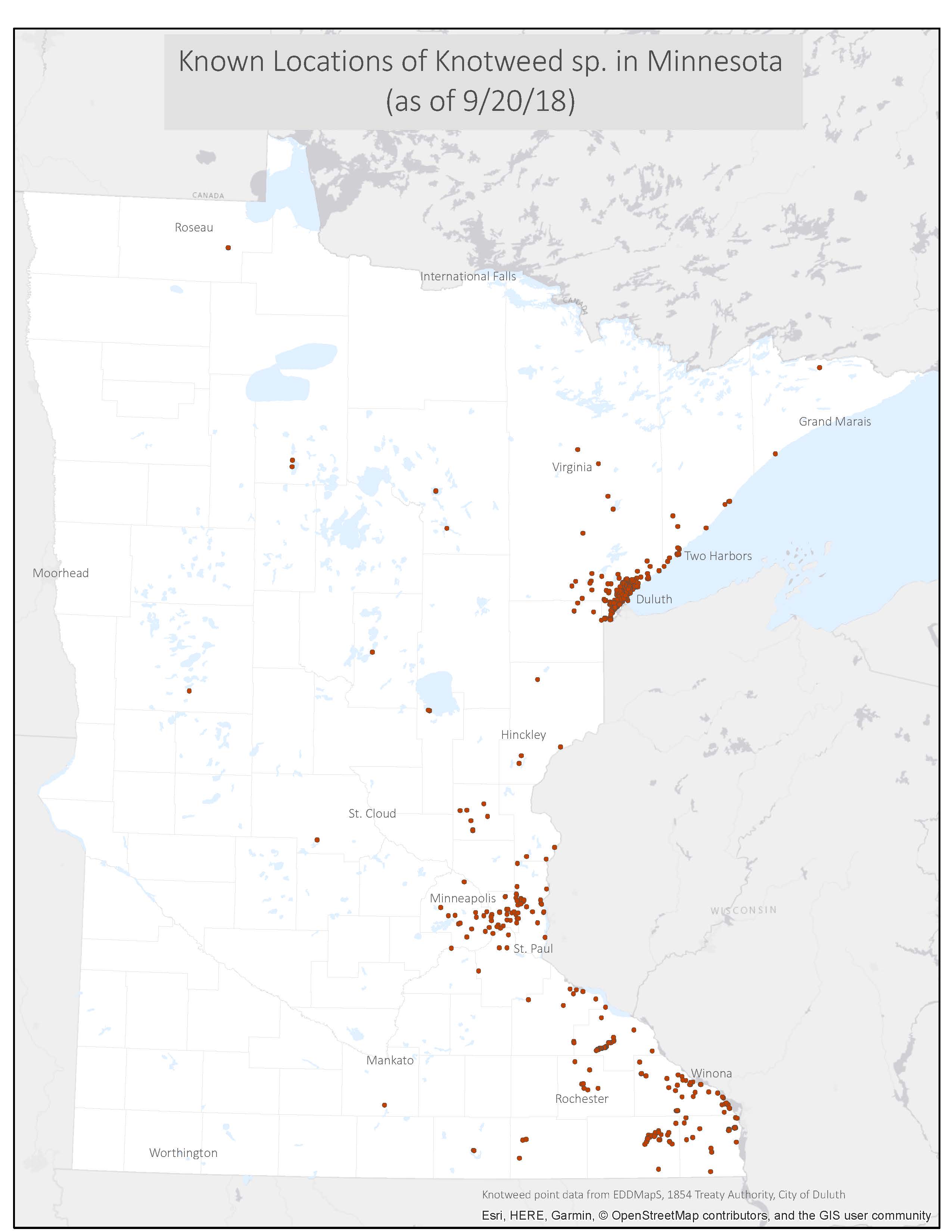 Minnesota map of known knotweed locations.
