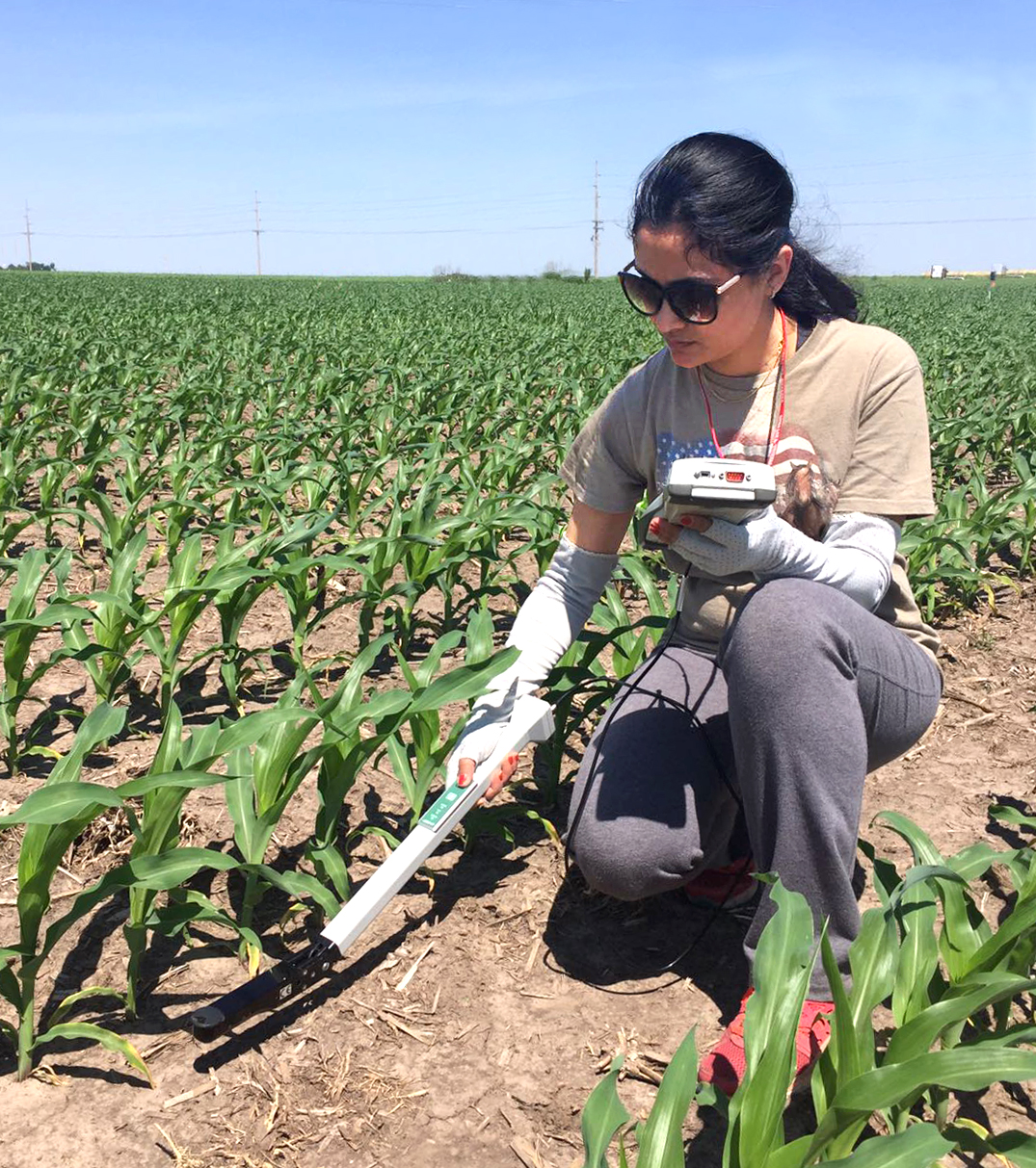 Dr. Vasu Sharma takes field readings.