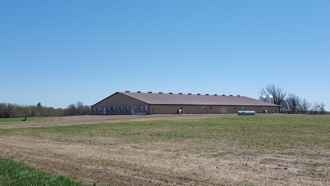 Well-sited new hog barn in Minnesota