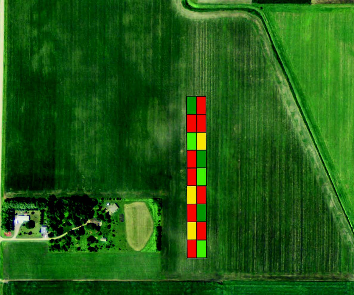 Advanced rate field trial with six rates replicated three times.