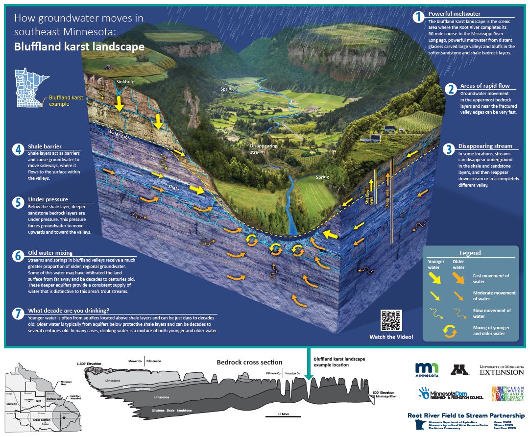 Cross section of the soil and bedrock formations characteristic of the bluffland karst region in southeast Minnesota. Text and arrows indicate and describe the water movement at the surface and through the layers of rock below. The poster is a summary of the movement described in the bluffland karst landscape video. https://www.youtube.com/watch?v=yyv2Y9HUcSw&list=PL8pqzQfMH1BjF1ZiiWkowKbBNeTCdKOg9&index=5