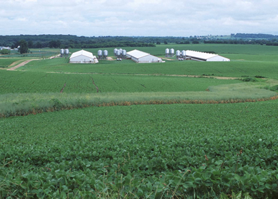 Livestock facility in Minnesota