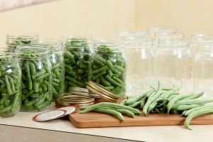 canned green beans