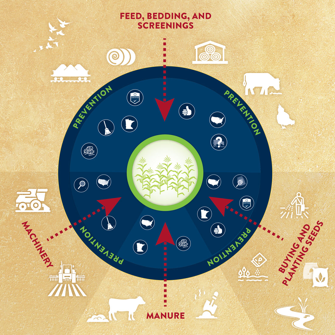 Graphic of pathways for how Palmer enters the state. Pathways include feed, bedding, screenings, seed mixes, Manure, and machinery.