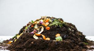 dirt compost pile with food scraps on top