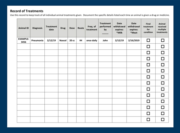 Recordkeeping Booklet Treatment Page