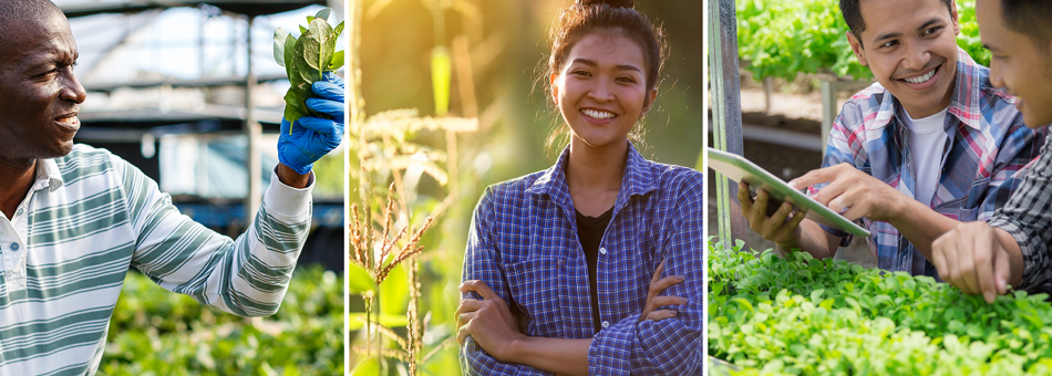 Collage of photos depicting people of various ethnicities engaged in farming