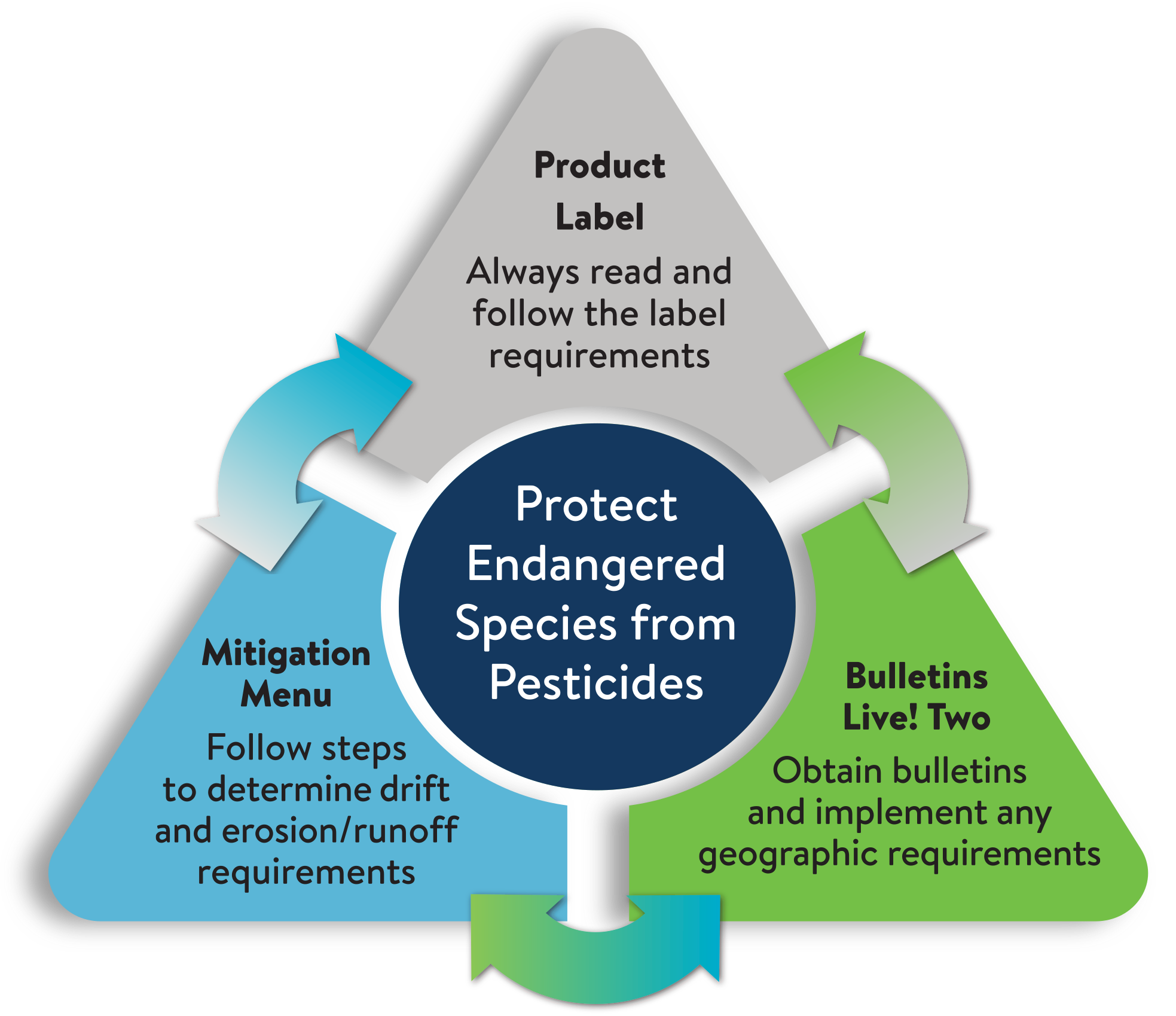 Diagram showing steps to protect Endangered Species from pesticides