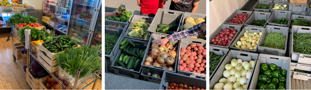 Volunteers organizing crates of fresh local vegetables for community food distribution.