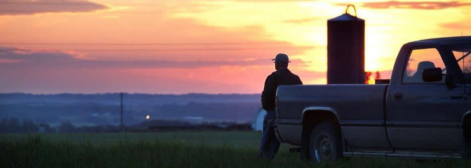 Farmer sitting on back of pickup looking out over the horizon