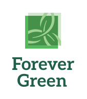 forevergreenlogosm.jpg