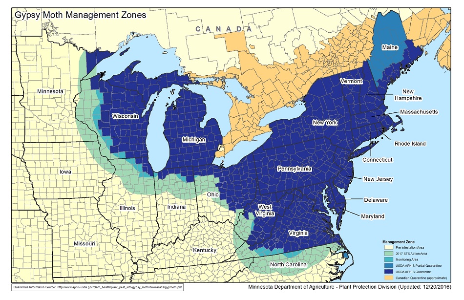 Gypsy moth distribution and management zones.