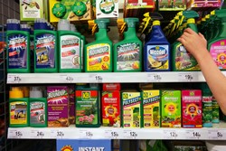 Household pesticides