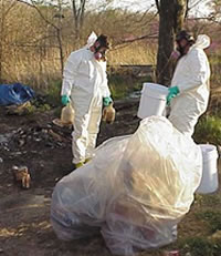 People dressed in personal protective equipment, outside near some trees, with large garbage bags full of material.