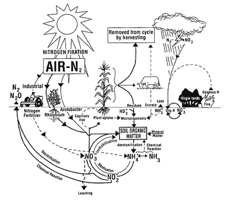 Unionized Ammonia Chart