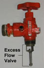 Profile view of the valve with the excess flow valve marked.
