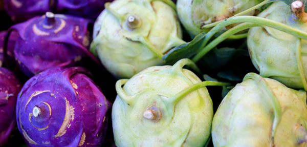 White and purple kohlrabi