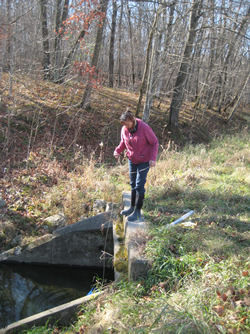 Person monitoring stream while standing on the bank.
