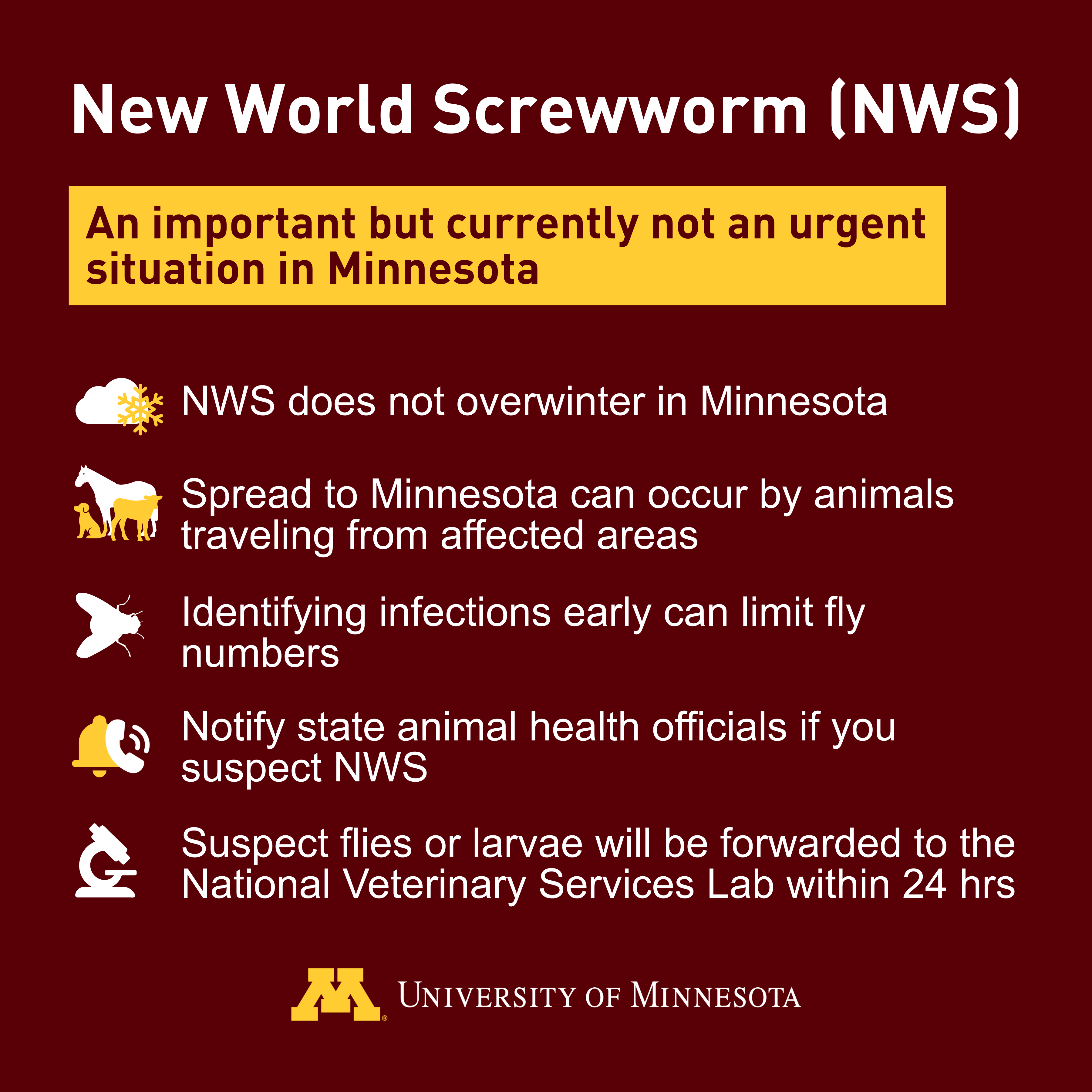 University of Minnesota New World screwworm graphic about the situation in Minnesota
