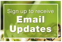 Sign up to receive email updates