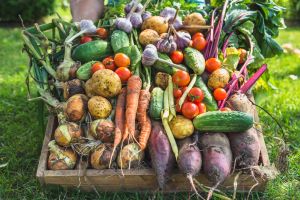 lots of varieties of fresh produce in box