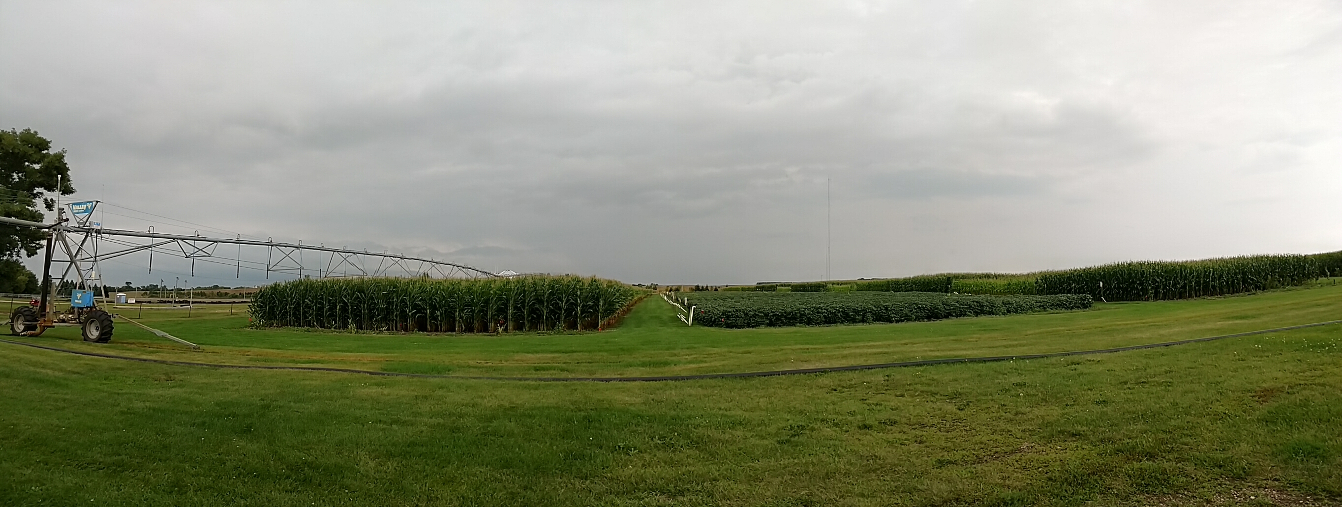 Farm field with irrigation system at Rosholt Farm.