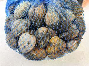 shellstock in a bag